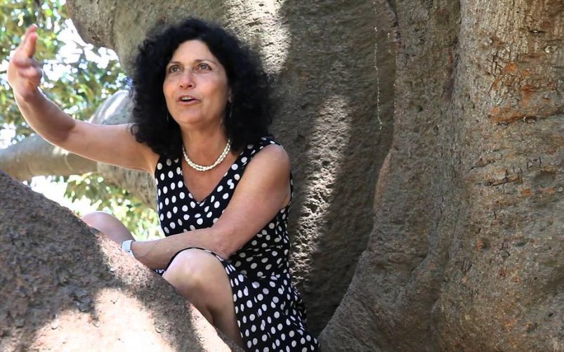 Edna Angelica Calo Livne