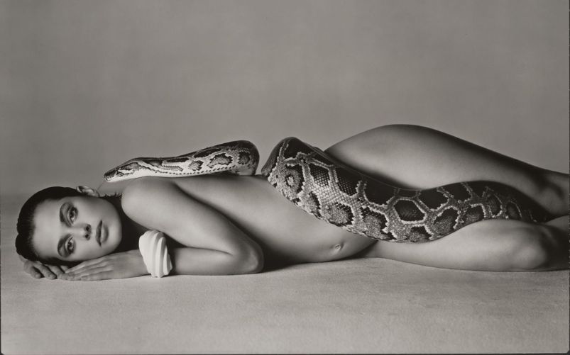 Richard Avedon al Palazzo Reale di Milano