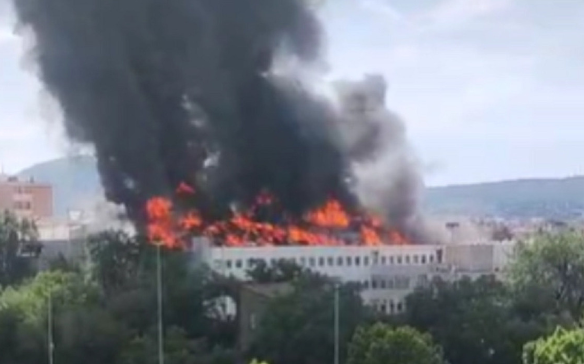 viterbo-incendio-università