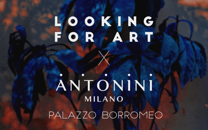 Looking for art