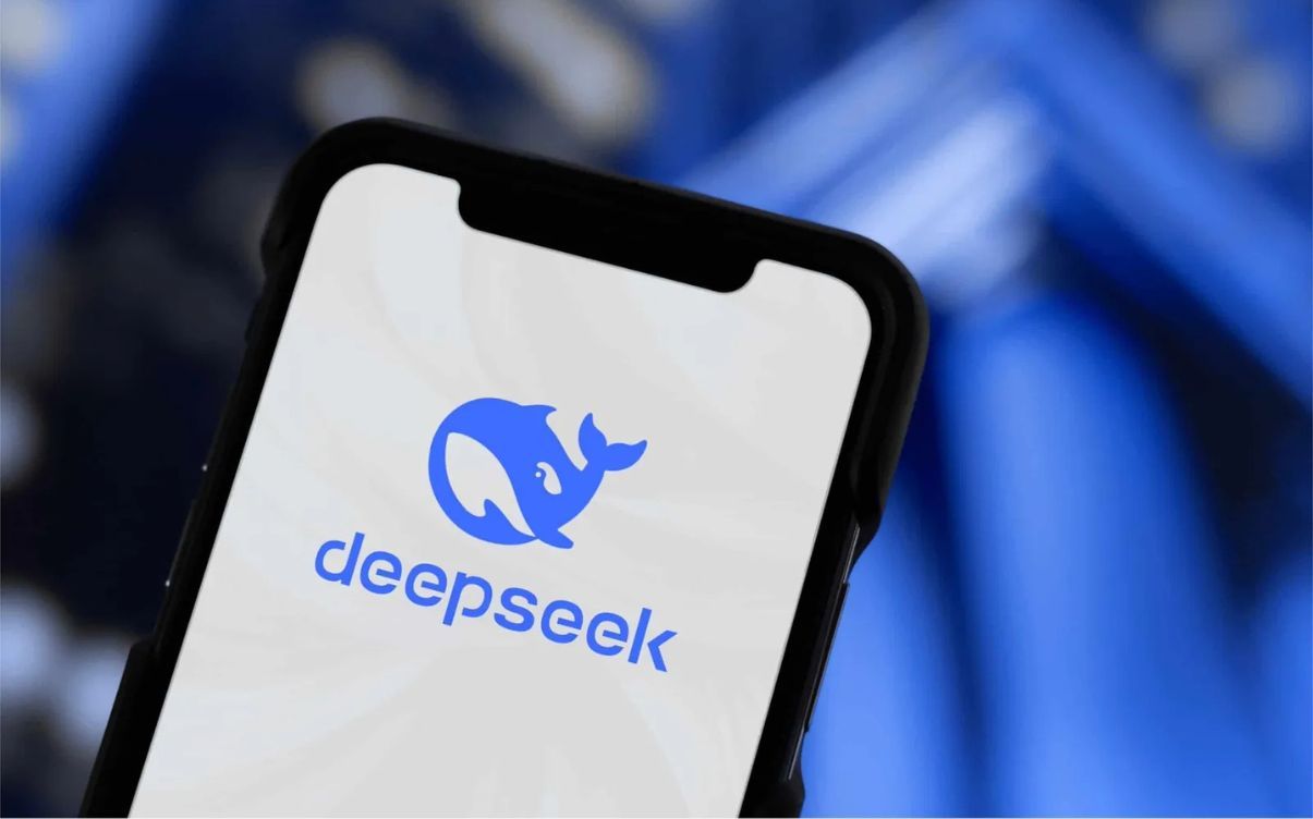 deepseek-ai