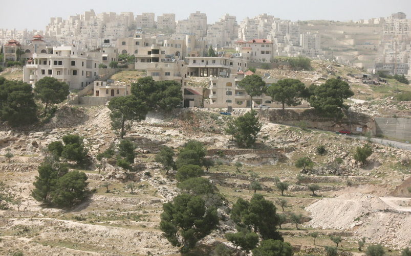 Guerra degli alberi Israele