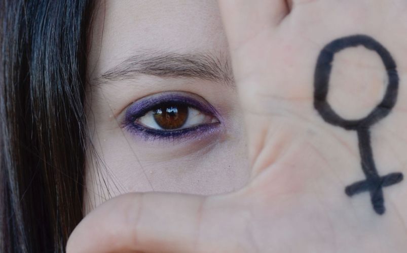 Il femminismo