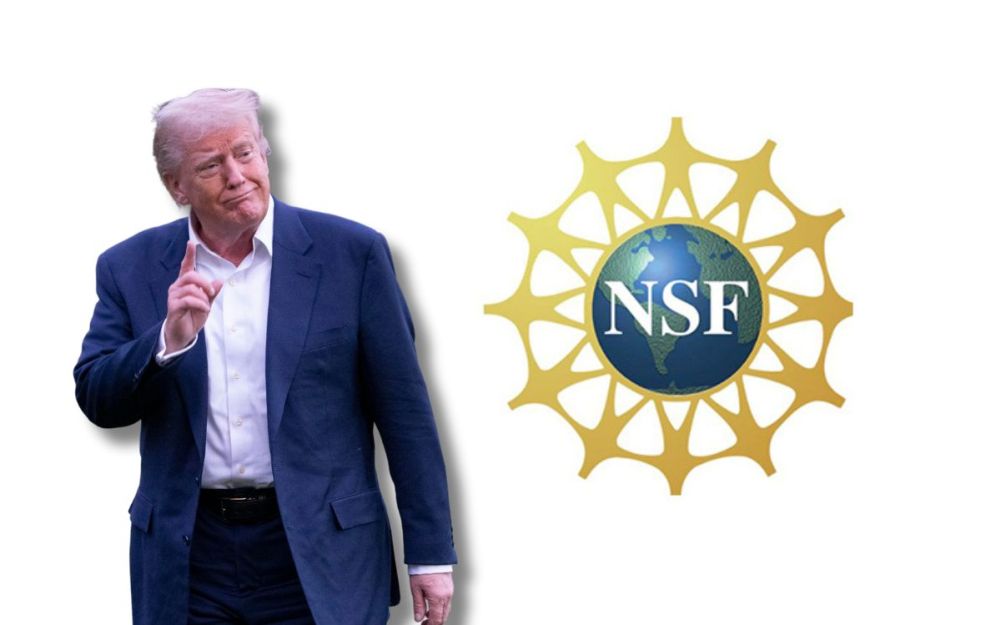 Nsf