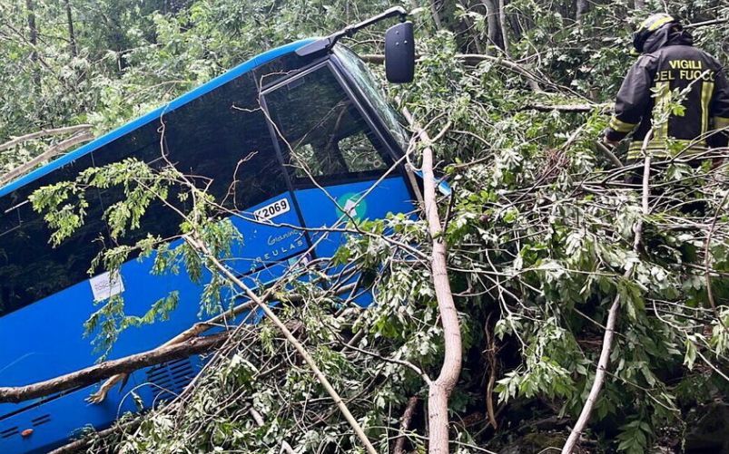 Bus precipita in una scarpata