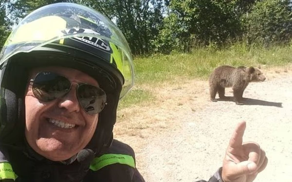 motociclista ucciso da un'orsa