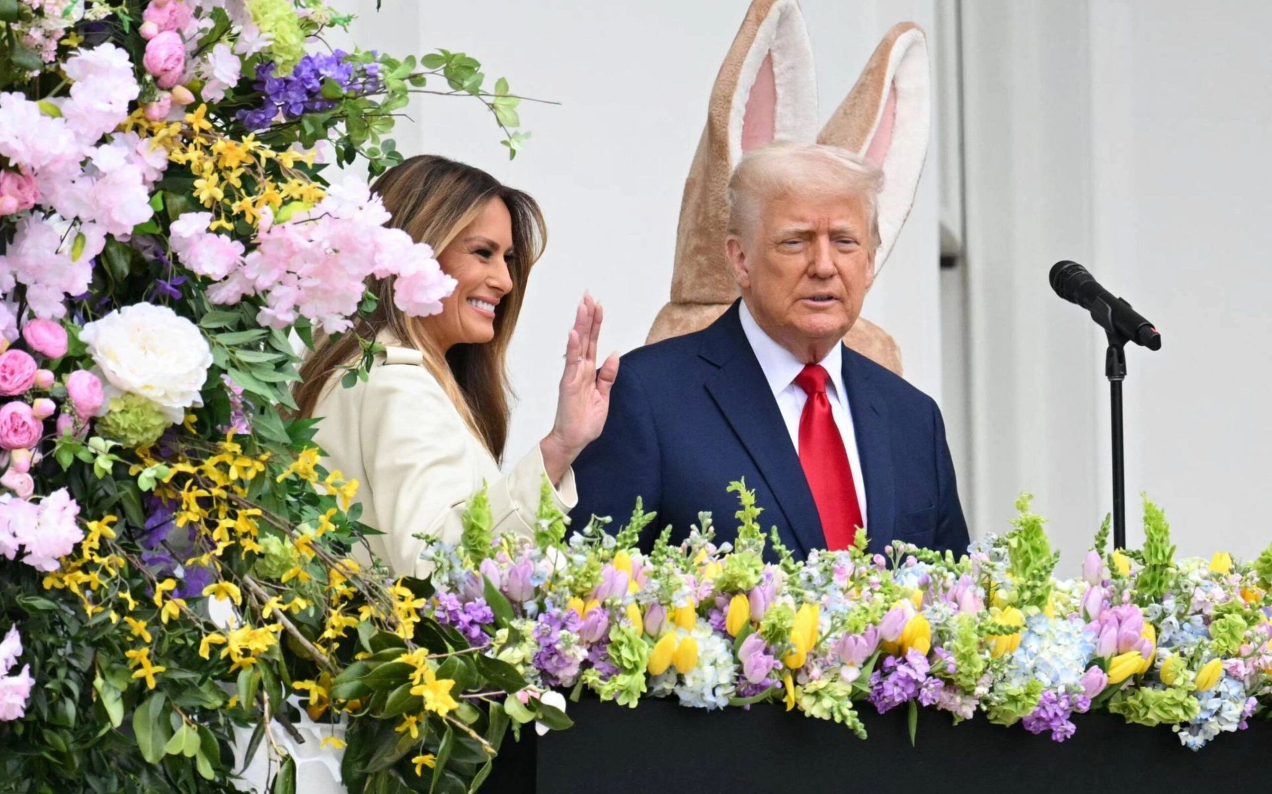 Trump papa