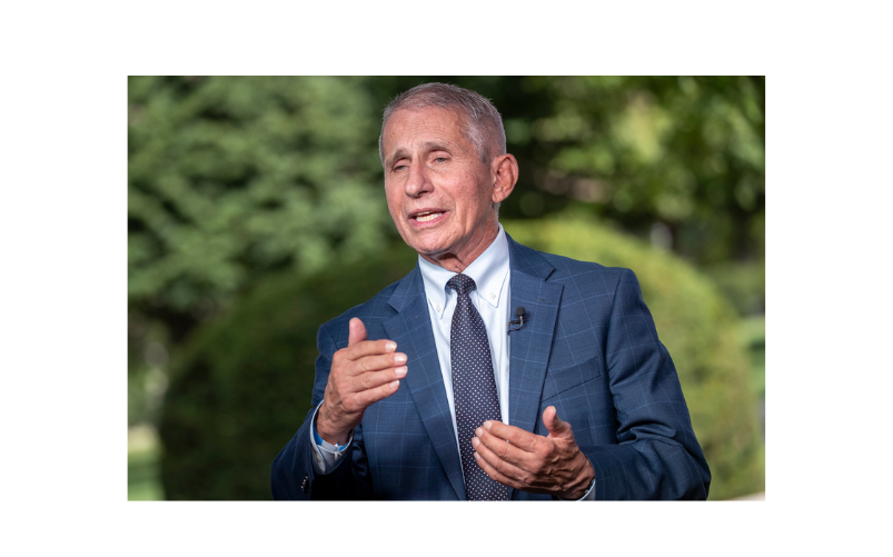 accuse contro anthony fauci