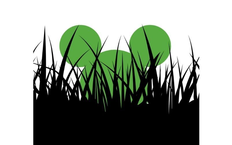 Ambiente nella Costituzione