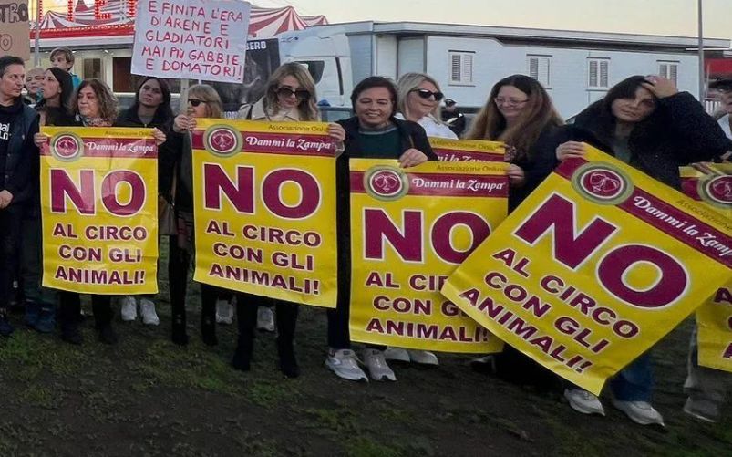 Ladispoli circo