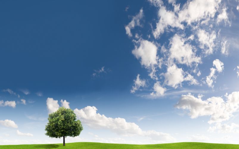 america approva legge clima
