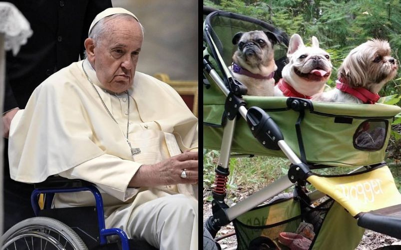 Papa Cani