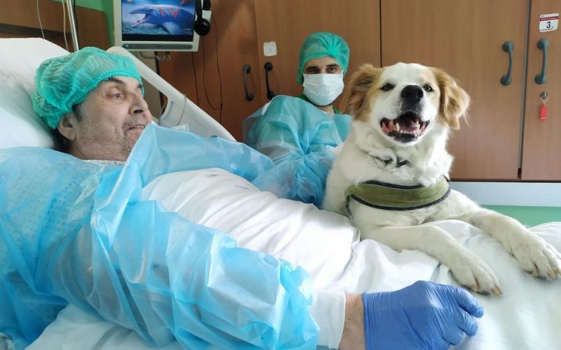 Rivede il suo cane Buk