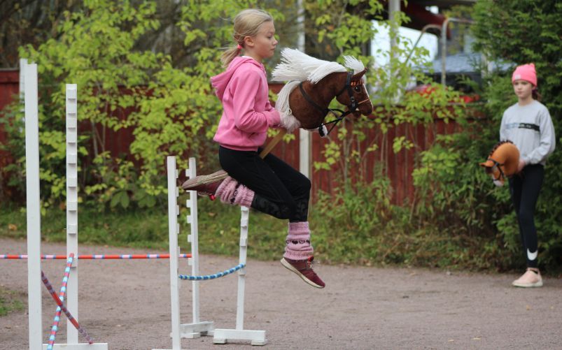 Hobbyhorse
