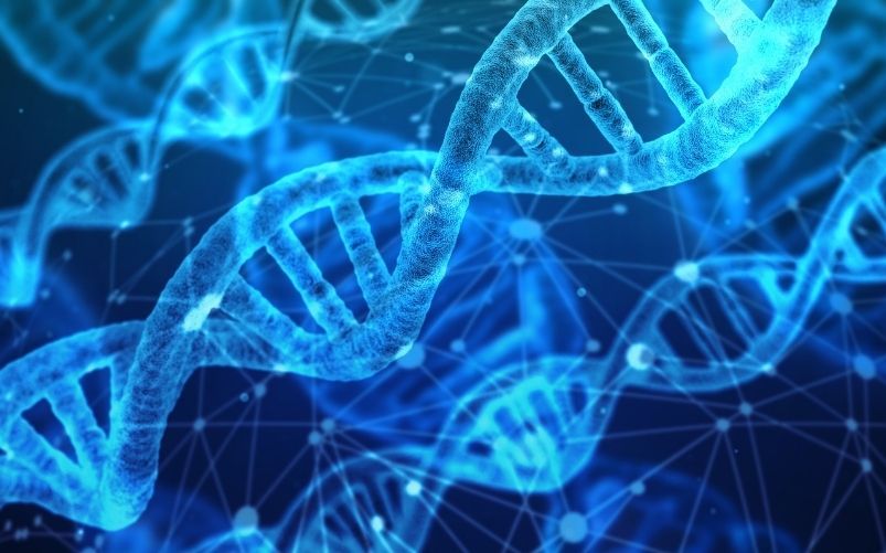 DNA