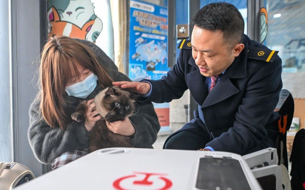 Cina, gli animali domestici adesso possono viaggiare sui treni ad alta velocità