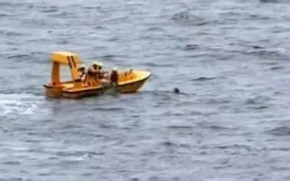 Papà si tuffa dalla nave da crociera per salvare la figlia caduta - IL VIDEO