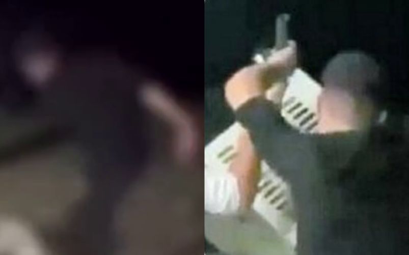 Uccidono a calci una capretta