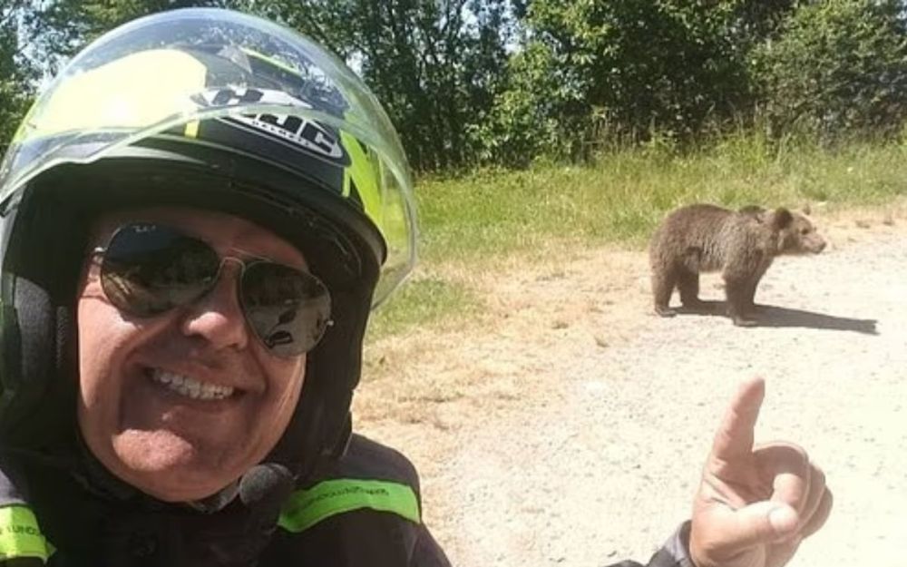 motociclista ucciso da un'orsa