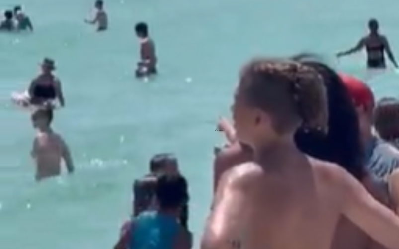 Florida, squalo tra i bagnanti