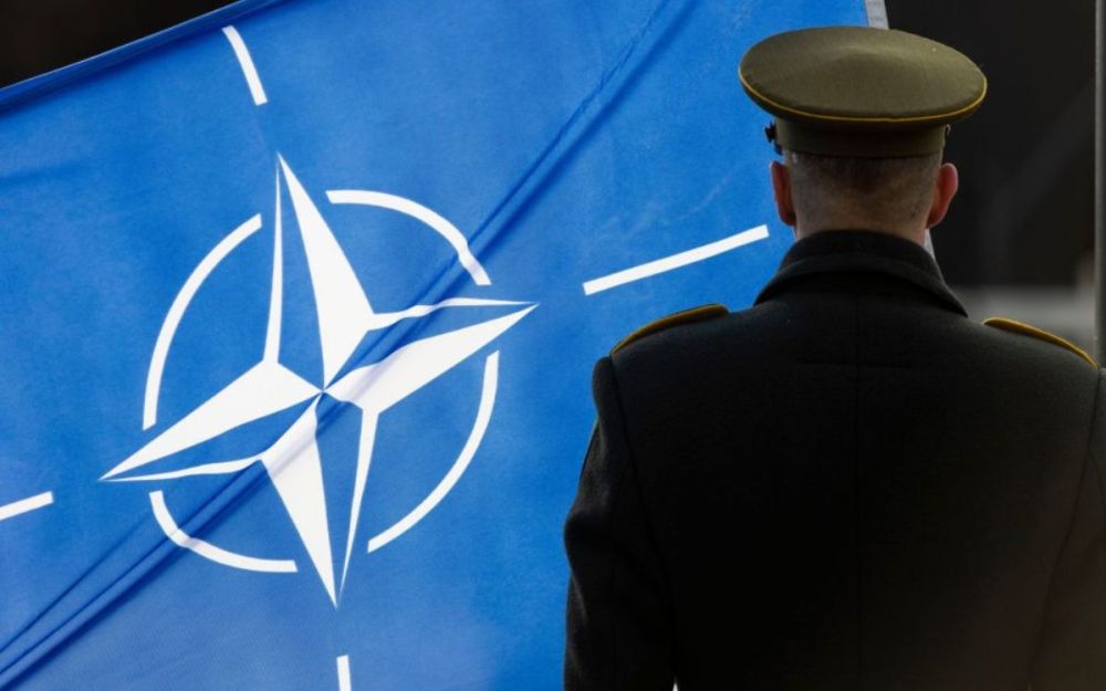Nato e spese militari