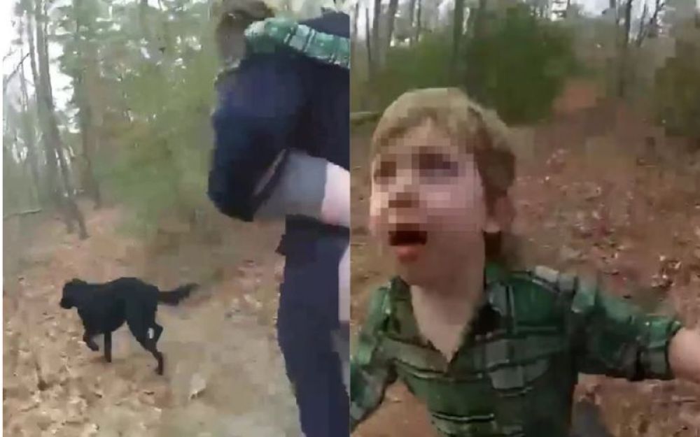 Bimbo ritrovato nel bosco dal suo cane