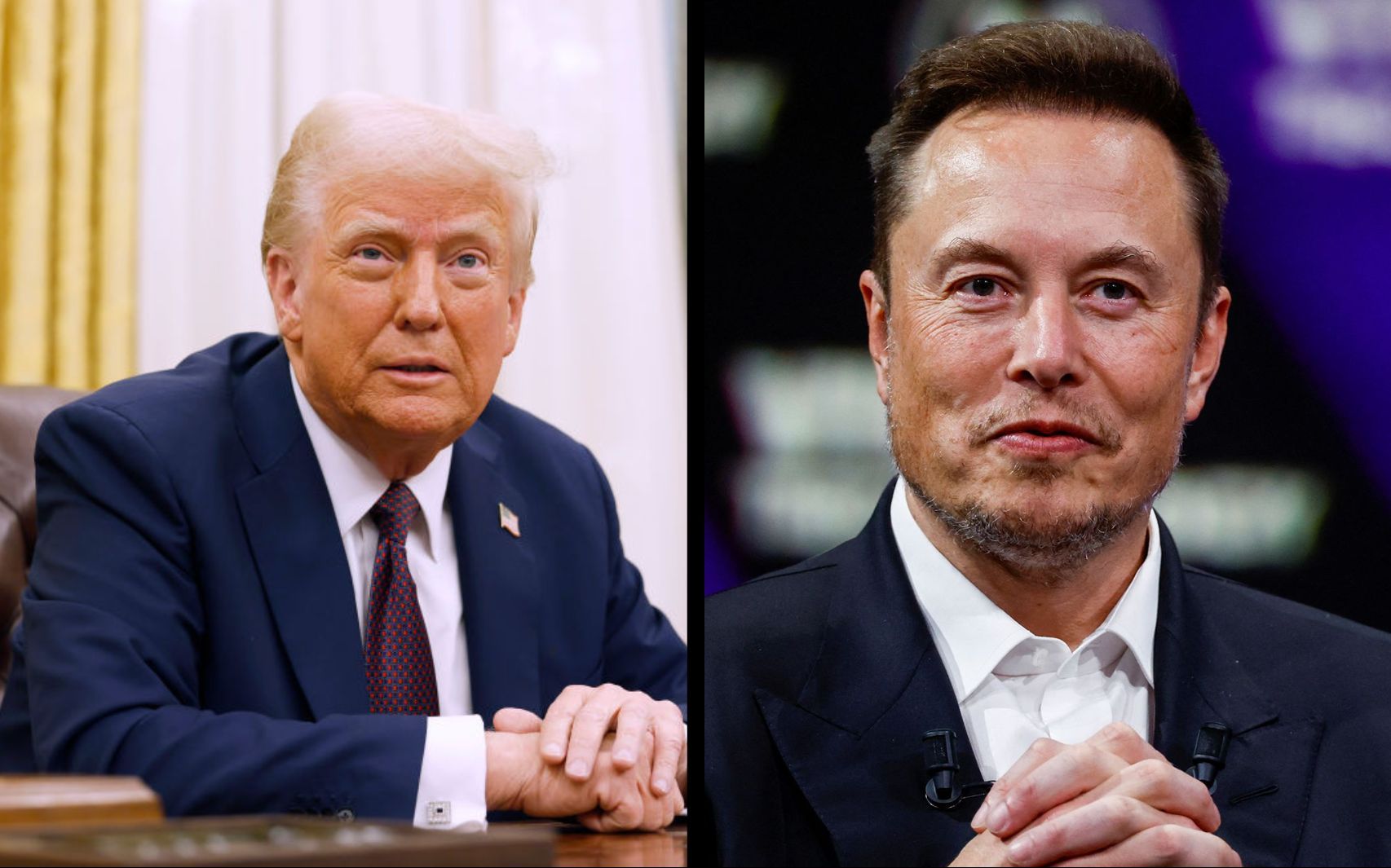 musk trump