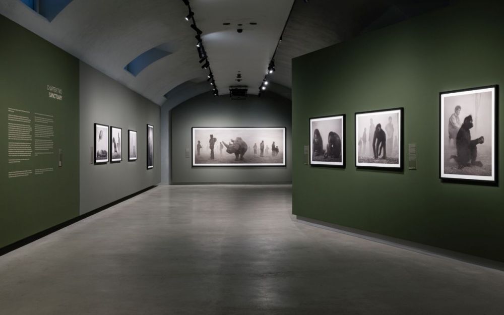 Alle Gallerie d’Italia di Torino la mostra “Nick Brandt”