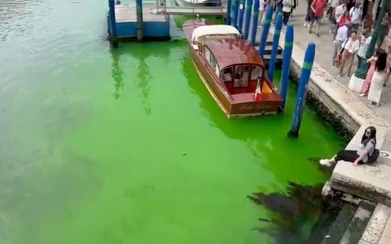 Acqua verde fosforescente a Venezia