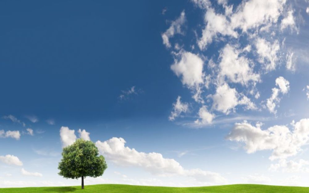 america approva legge clima
