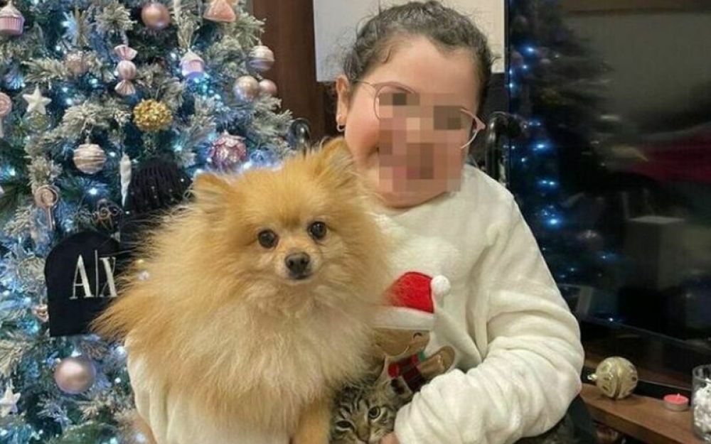 I ladri restituiscono il cagnolino