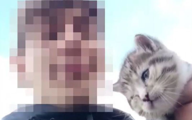 Lancia un gattino giù da un dirupo