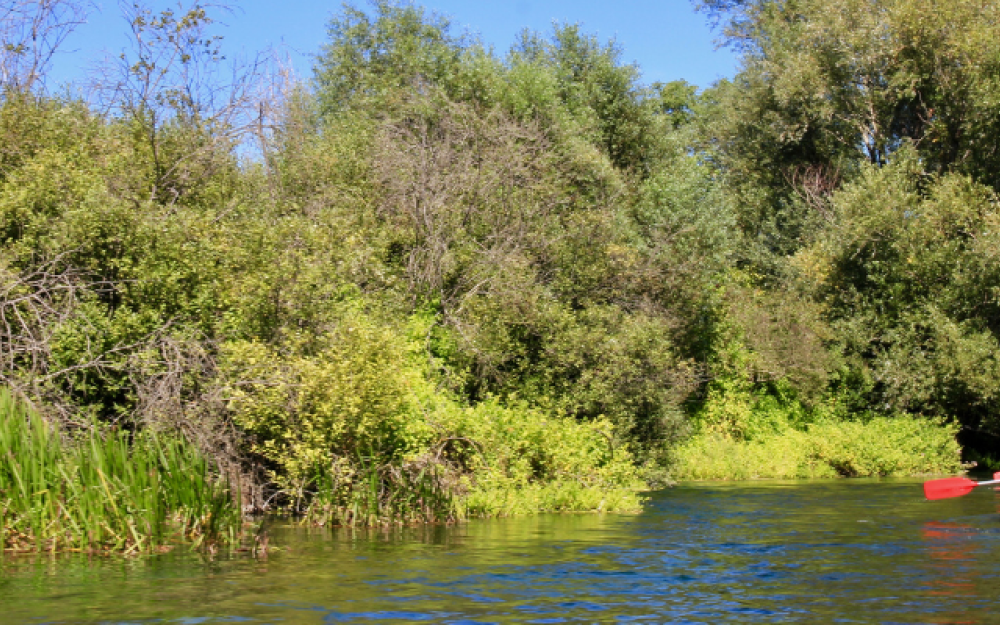 Fiume Tirino