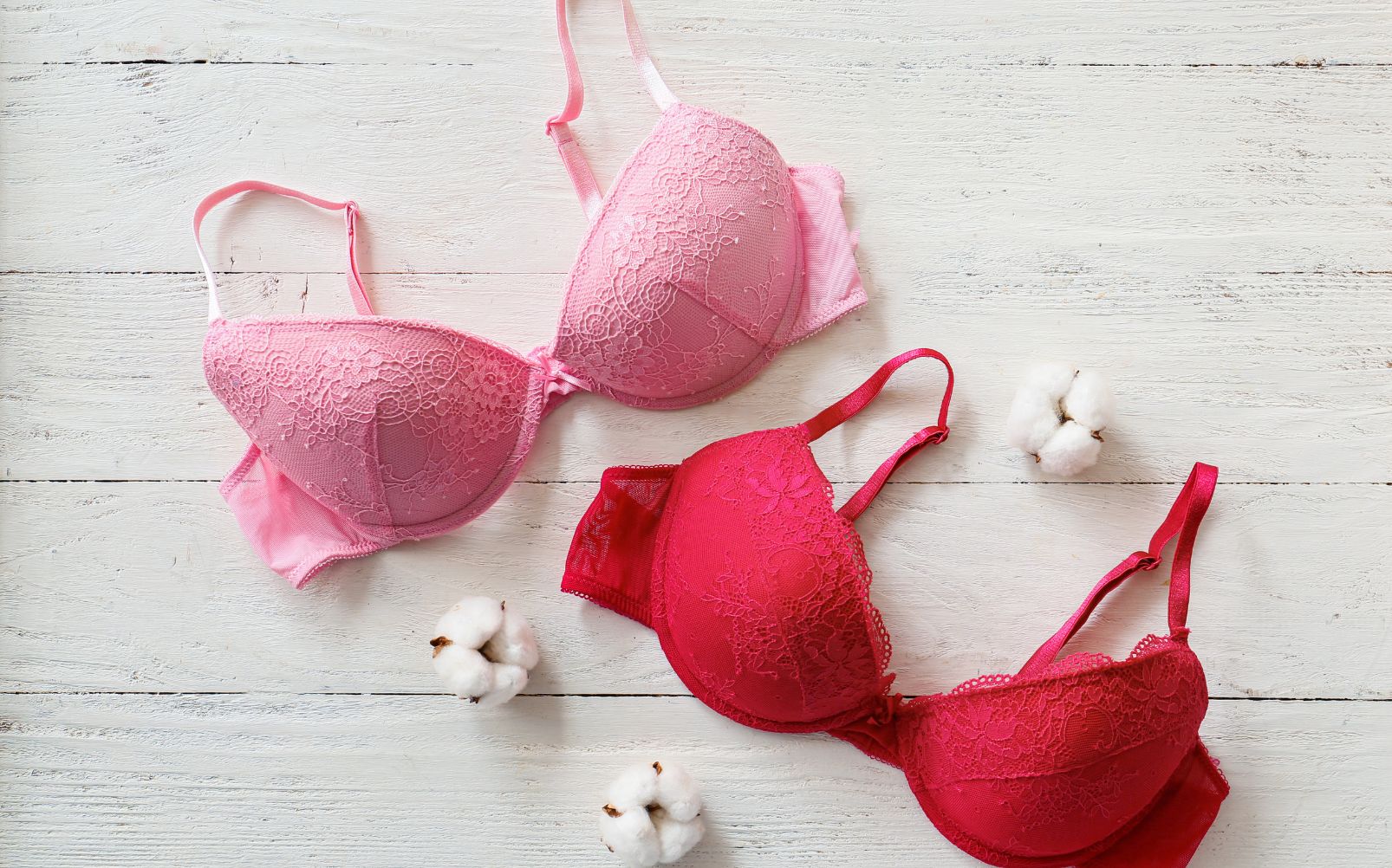 Il reggiseno inventore online